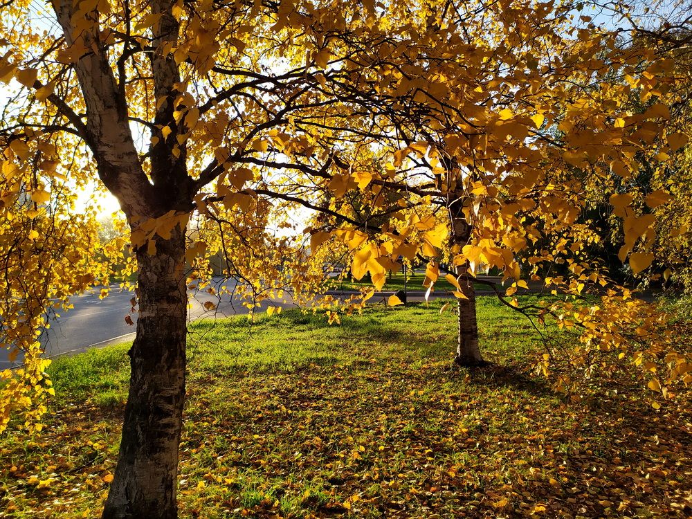 Фотография автора Сергей Сухумский
