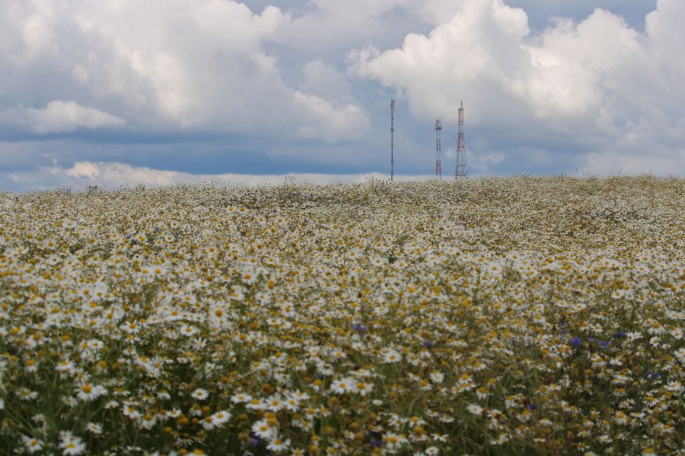 Photograph by Алексей Егоров