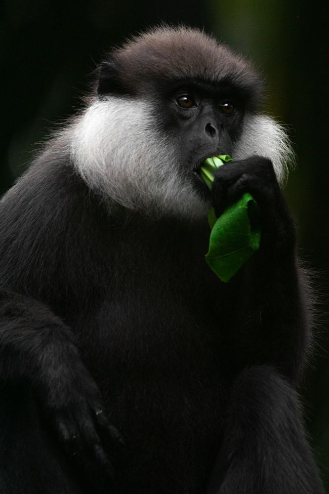 Photograph by Sonnadara Kushan Madushanka