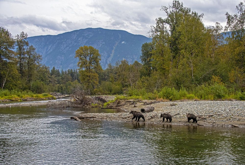 Фотография автора Subir Ghosh