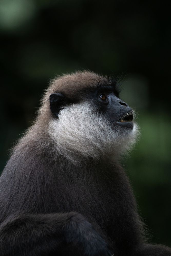 Photograph by Sonnadara Kushan Madushanka