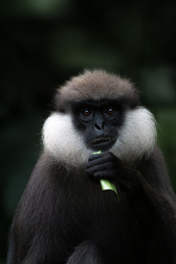 Photograph by Sonnadara Kushan Madushanka