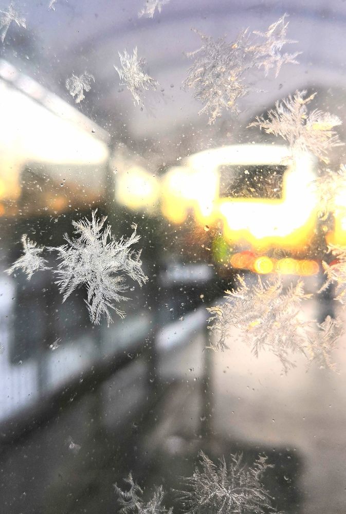 Фотография автора Можаев Сергей