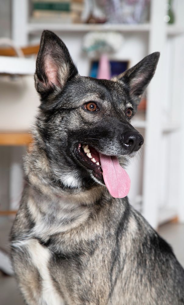 Photograph by Анастасия Рысь