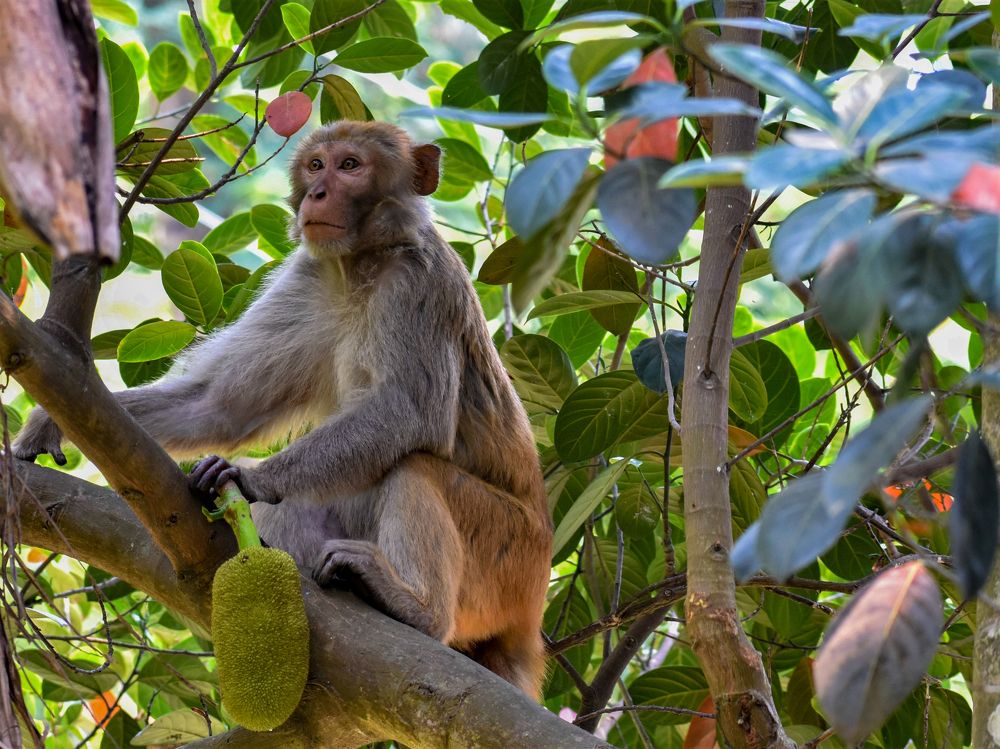 Photograph by Kamal Bhattacharjya