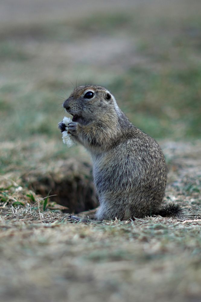 Фотография автора Екатерина