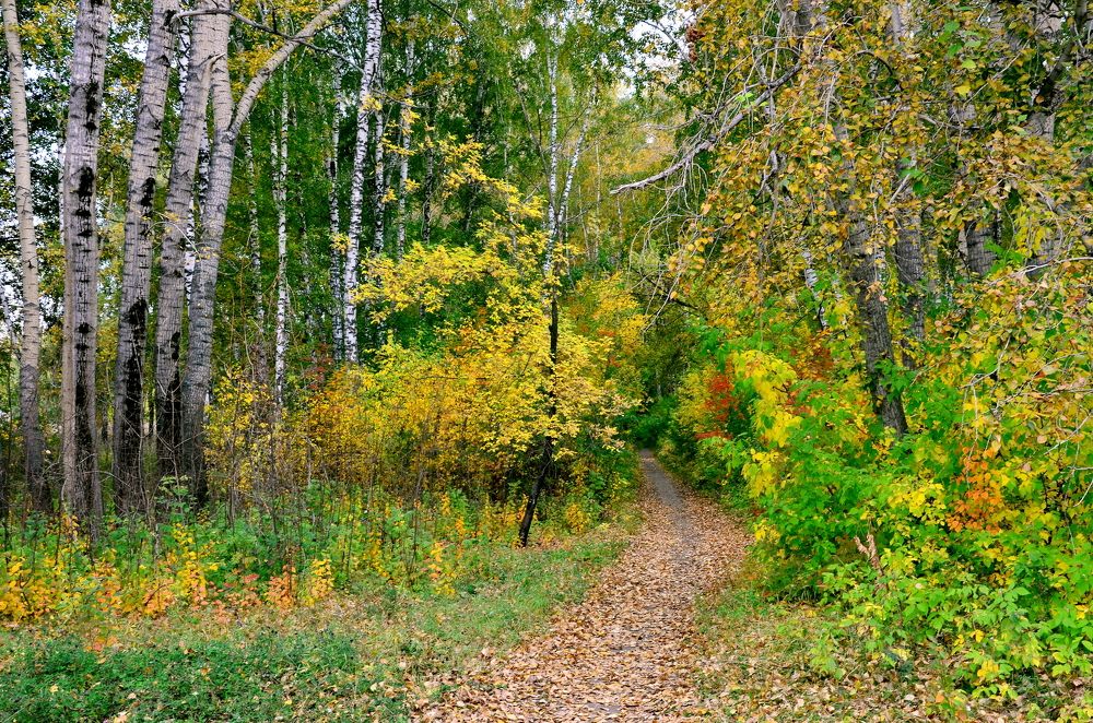 Photograph by Михаил Курзанцев