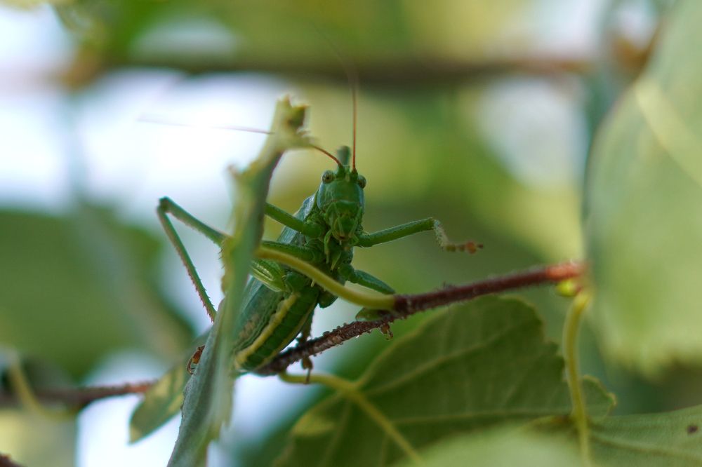 Фотография автора Екатерина