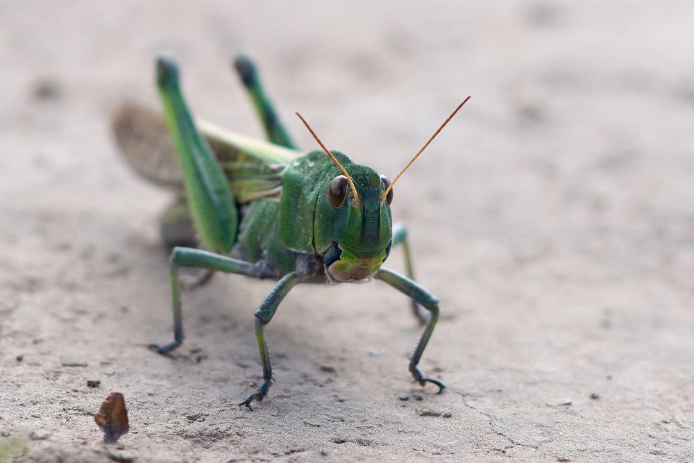 Фотография автора Екатерина