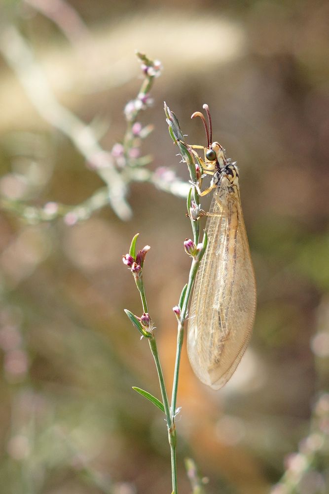 Фотография автора Екатерина
