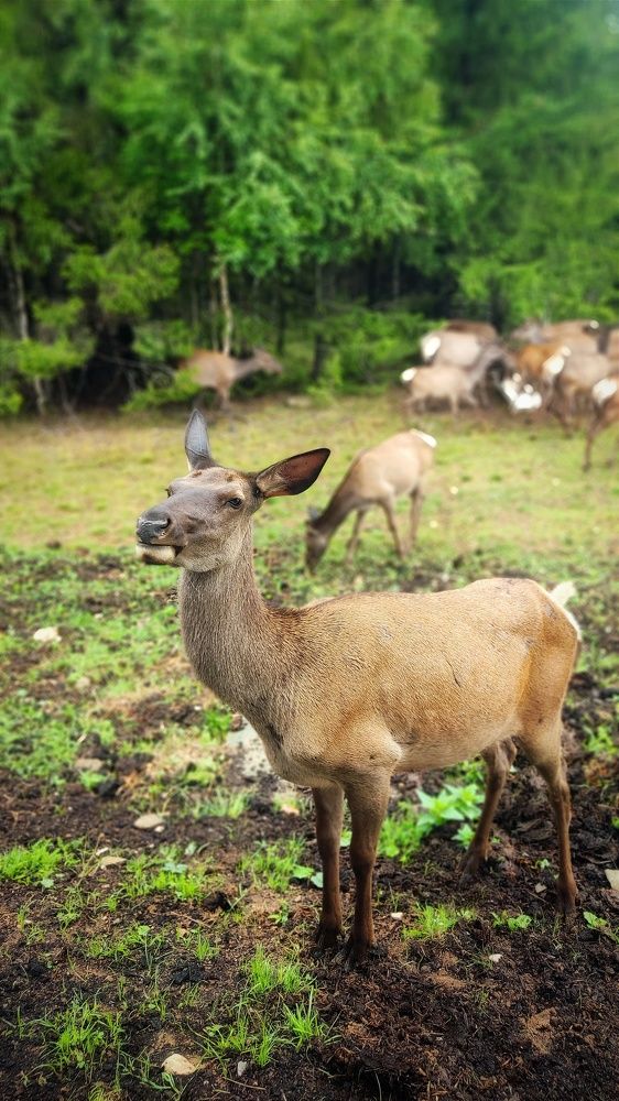 Photograph by Ольга Метлицкая