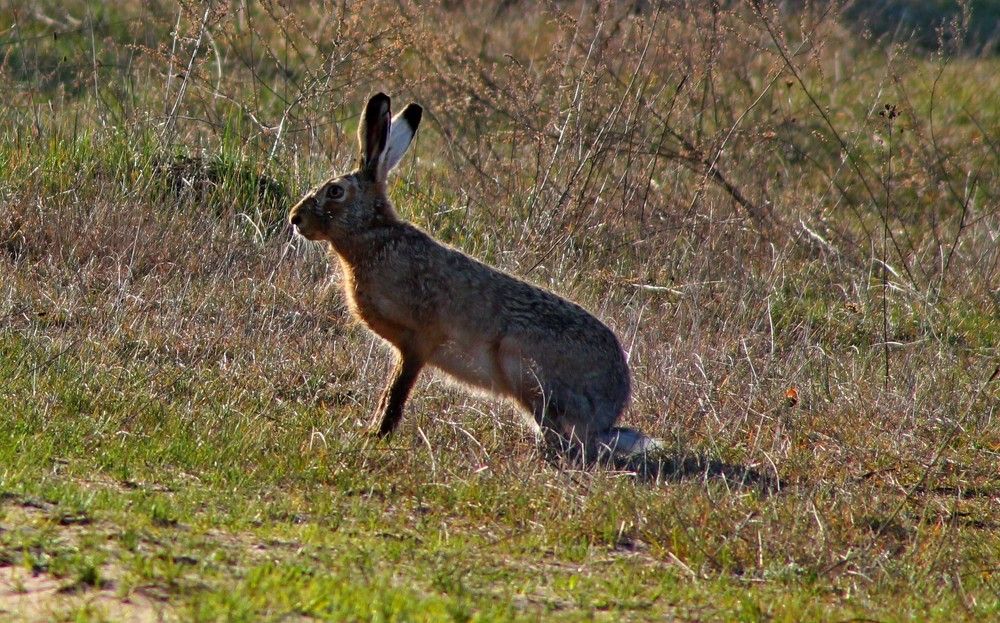 Photograph by Дмитрий Селицкий