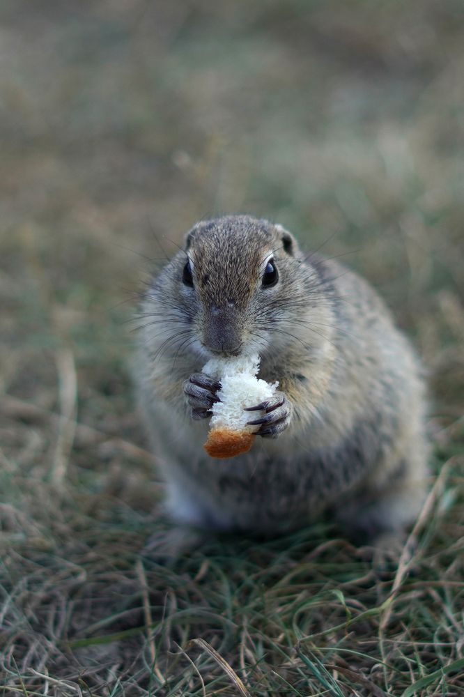 Фотография автора Екатерина