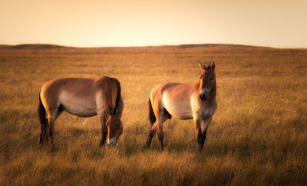 Photograph by Бирюкова Татьяна