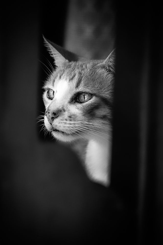 Фотография автора Esteban Gómez