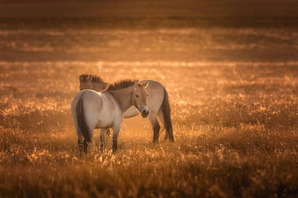 Photograph by Бирюкова Татьяна