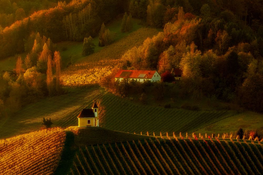 Photograph by Valentin Bițoi