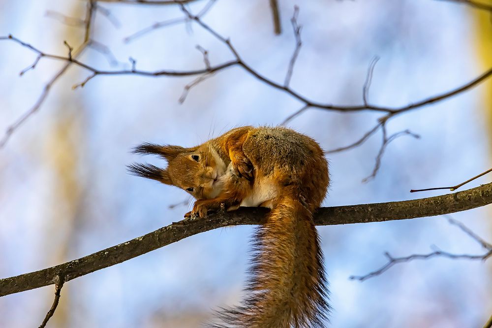 Photograph by Волынский Виктор