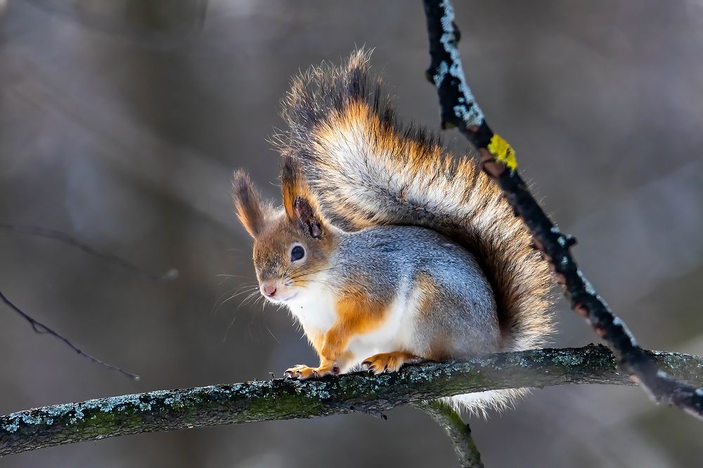 Photograph by Волынский Виктор