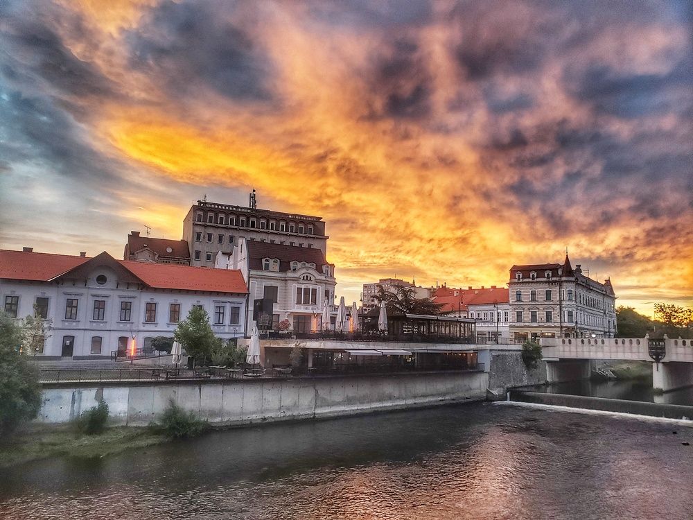 Photograph by Alina Viderea