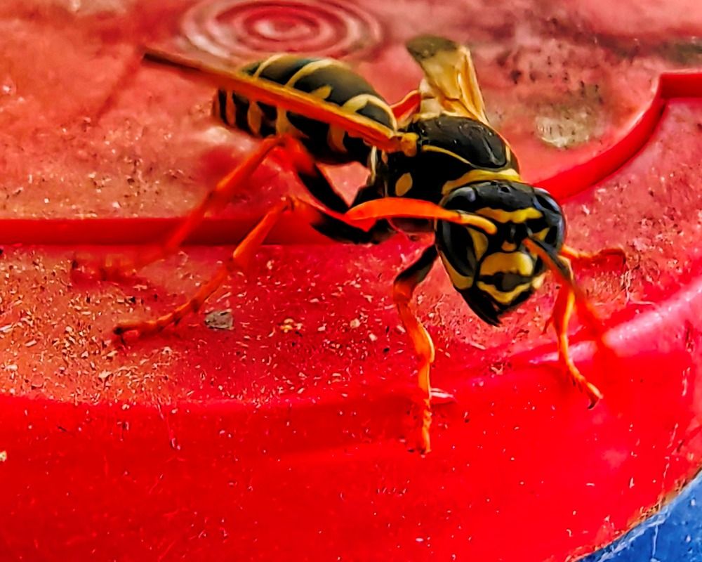 Photograph by Михаил Янкин