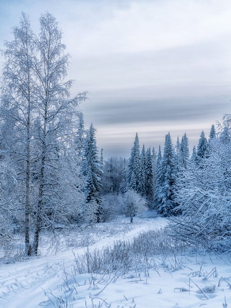 Photograph by Анастасия Глазюк