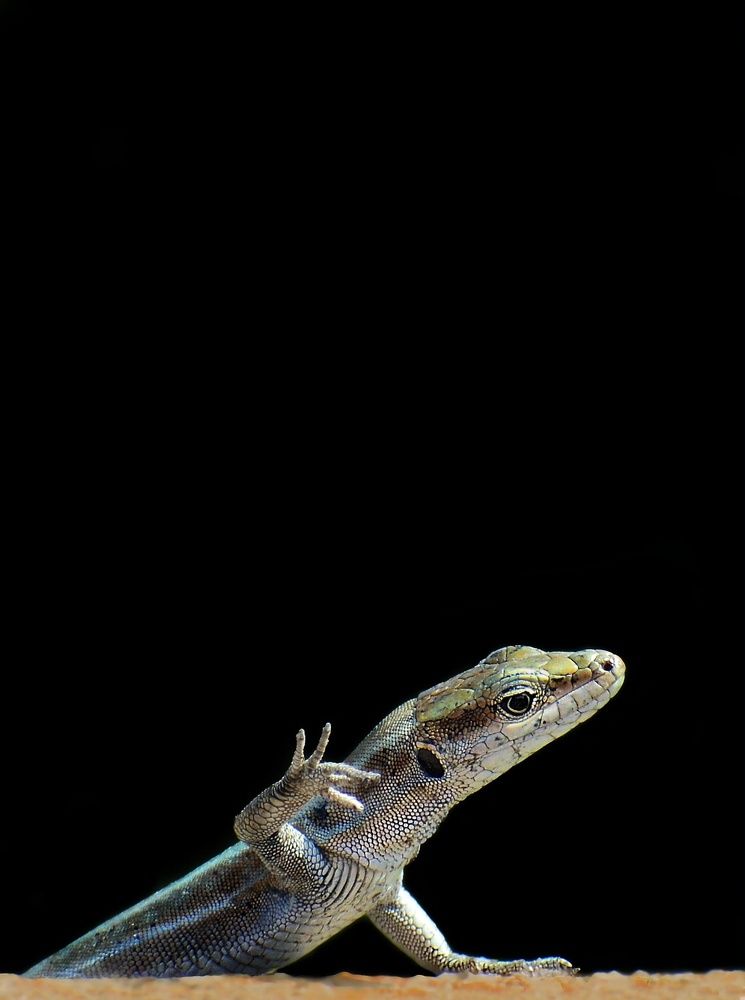 Photograph by Michael Lazaridis