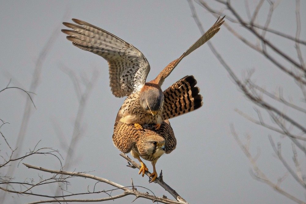 Photograph by АЛЕКСАНДР ПОПИК