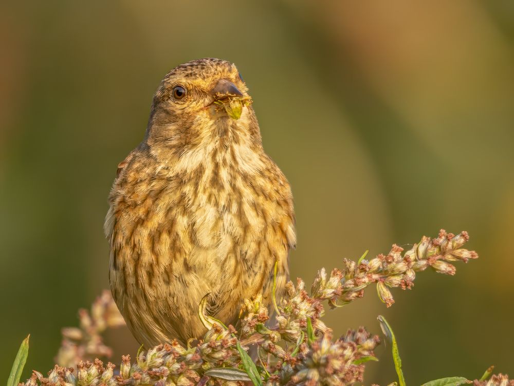 Photograph by АЛЕКСАНДР ПОПИК