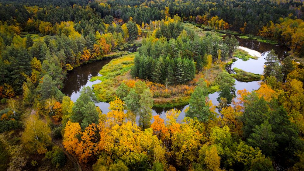 Photograph by Дмитрий Черепков