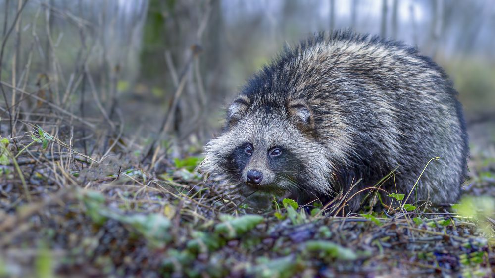 Photograph by АЛЕКСАНДР ПОПИК