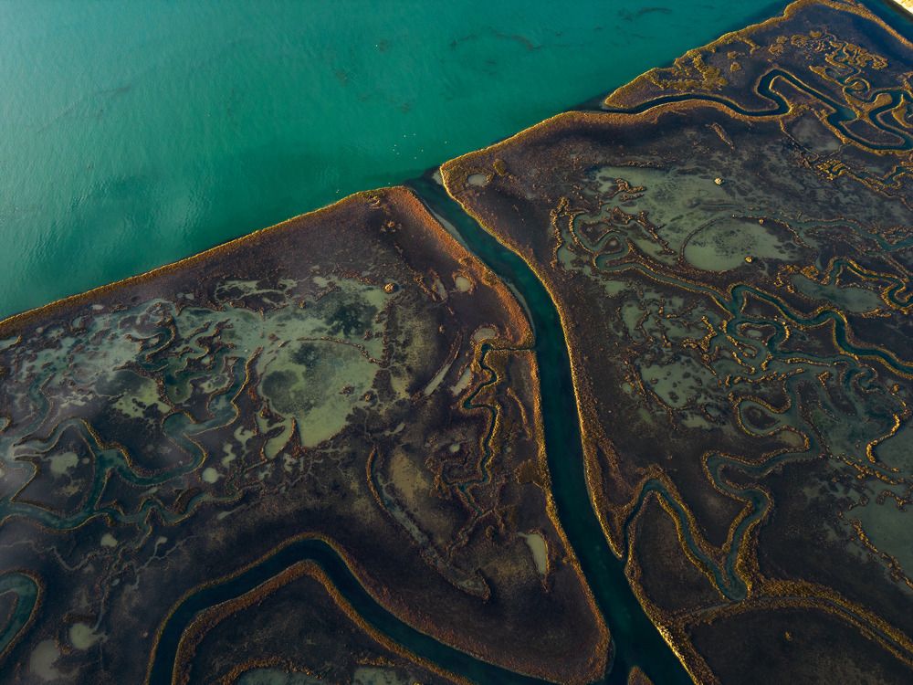 Photograph by mattia chersicola