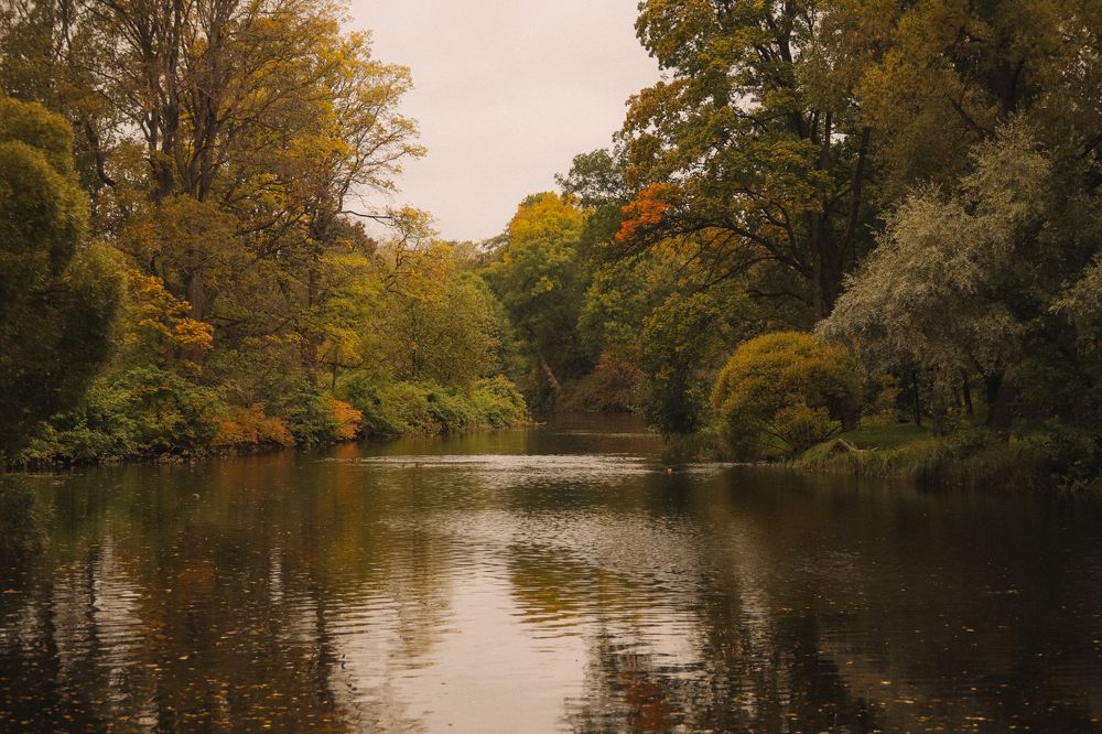 Photograph by Николаева Эвелина