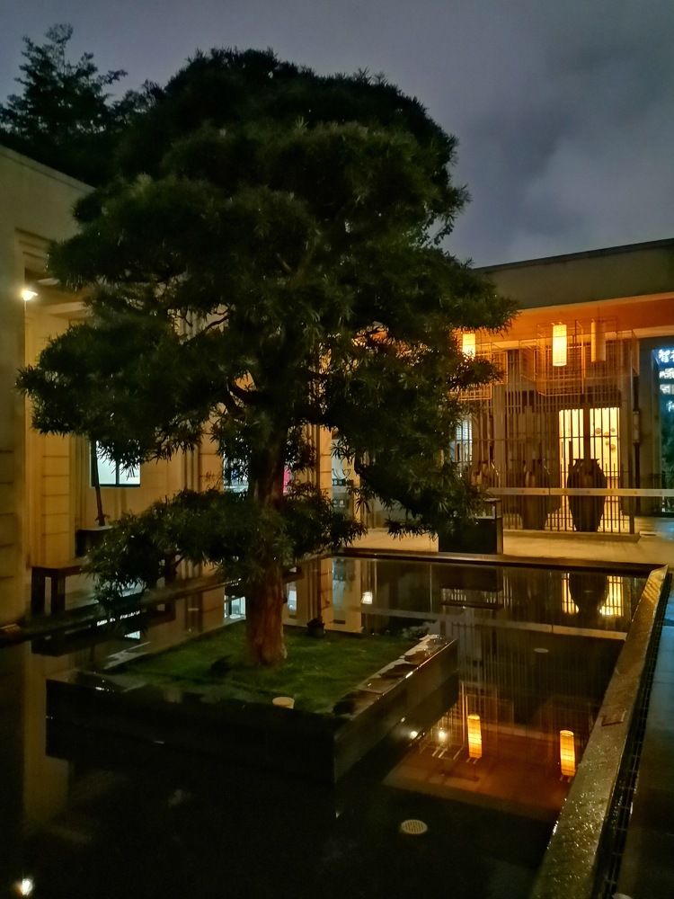 Photograph by Ирина Садовникова