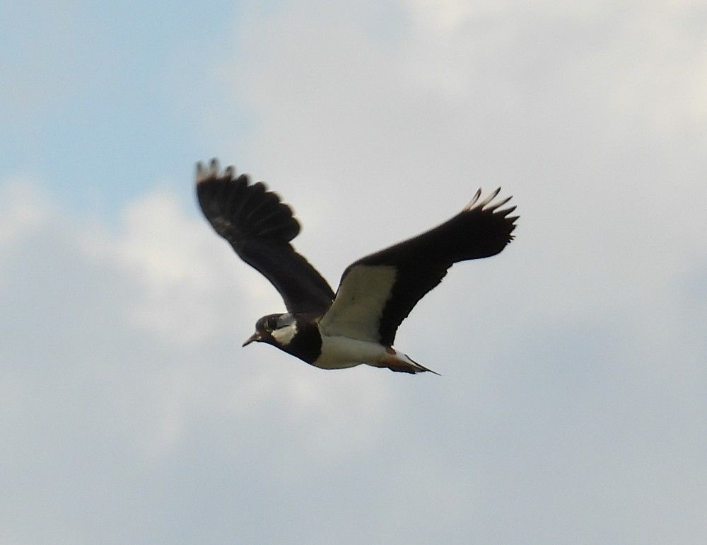 Photograph by Владимир Джерихов