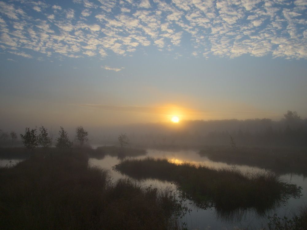 Photograph by Алексей Поляков