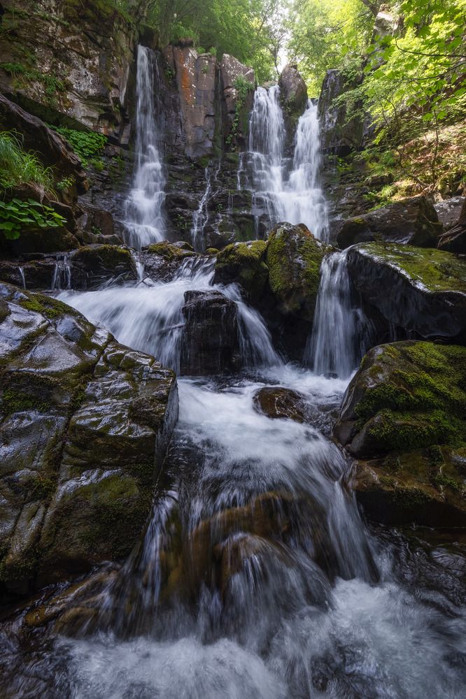 Photograph by mattia chersicola