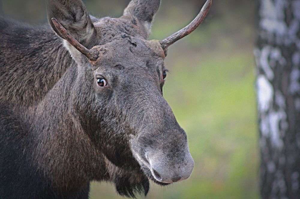 Photograph by Эдуард Попов