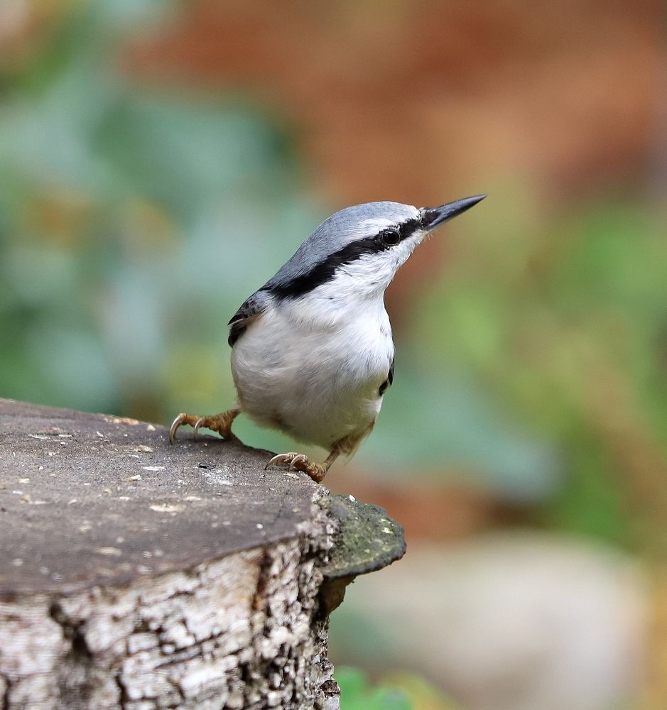 Photograph by Екатерина Мстиславская