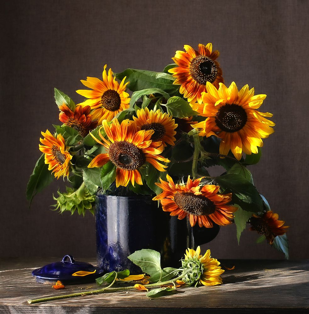 Последние краски