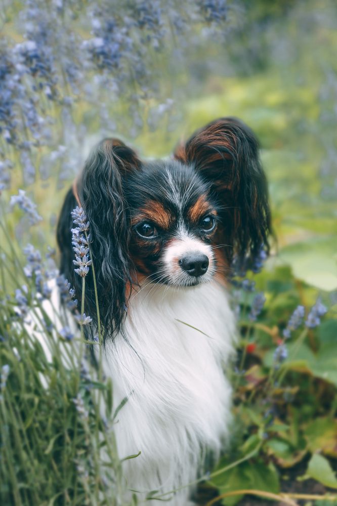 Photograph by Maria Filatova