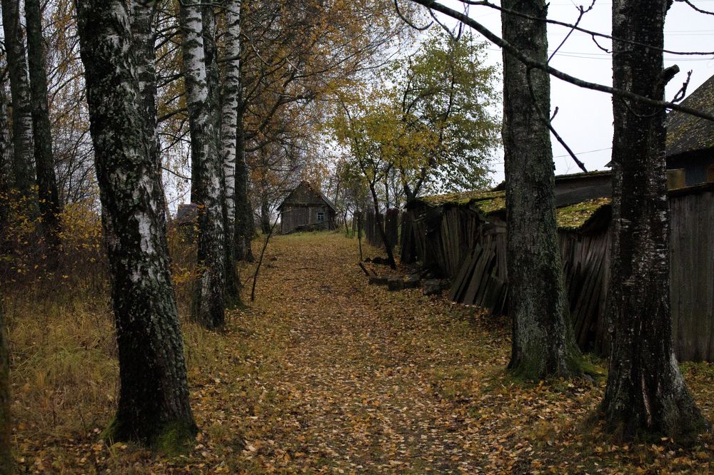 Фотография автора Александра Карпикова