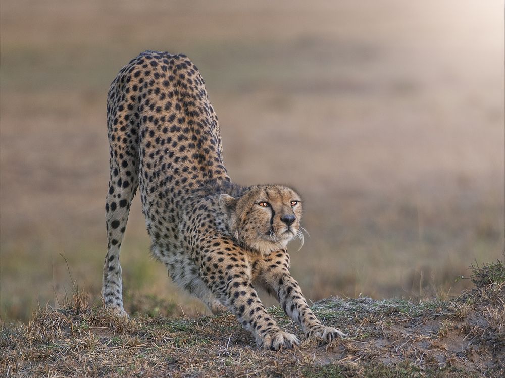 Photograph by Ana Lozano