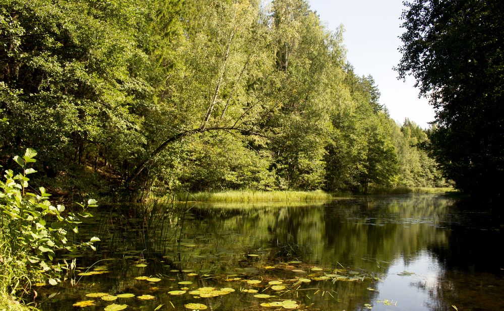 Фотография автора Александра Карпикова