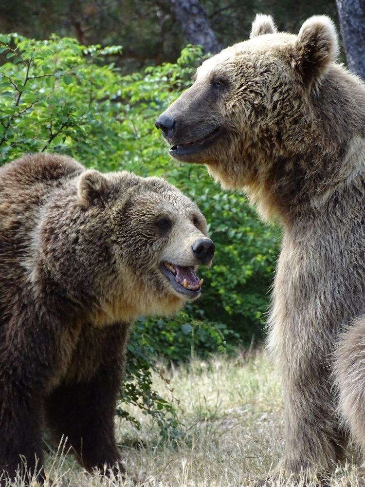 Photograph by Марина Мишина