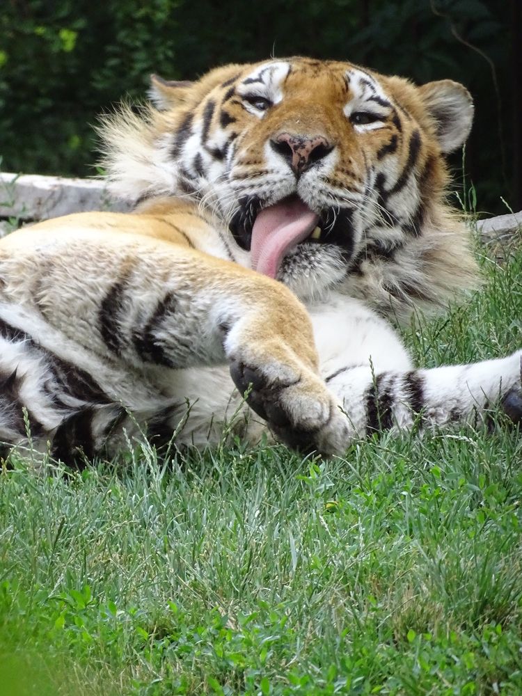 Photograph by Марина Мишина