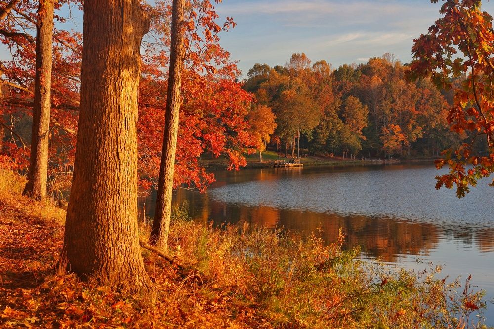 Lake Anna