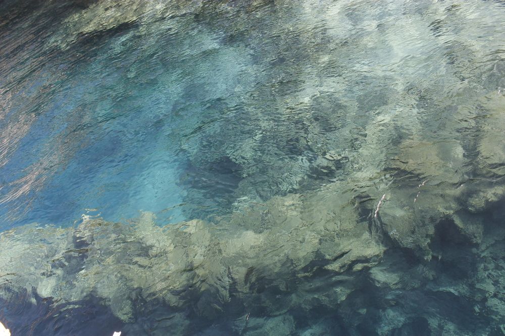 Фотография автора Лариса Ременьчик