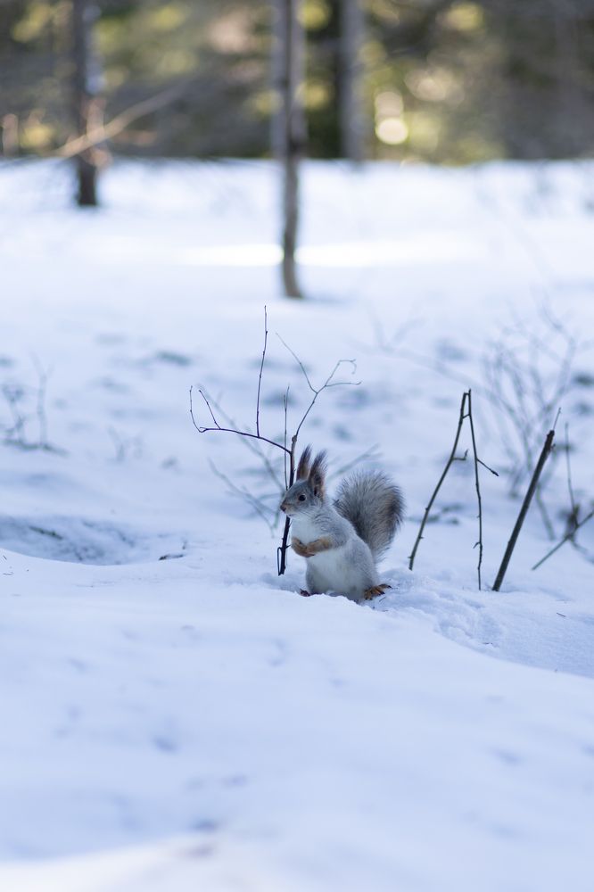 Photograph by Бальзирова Наталья