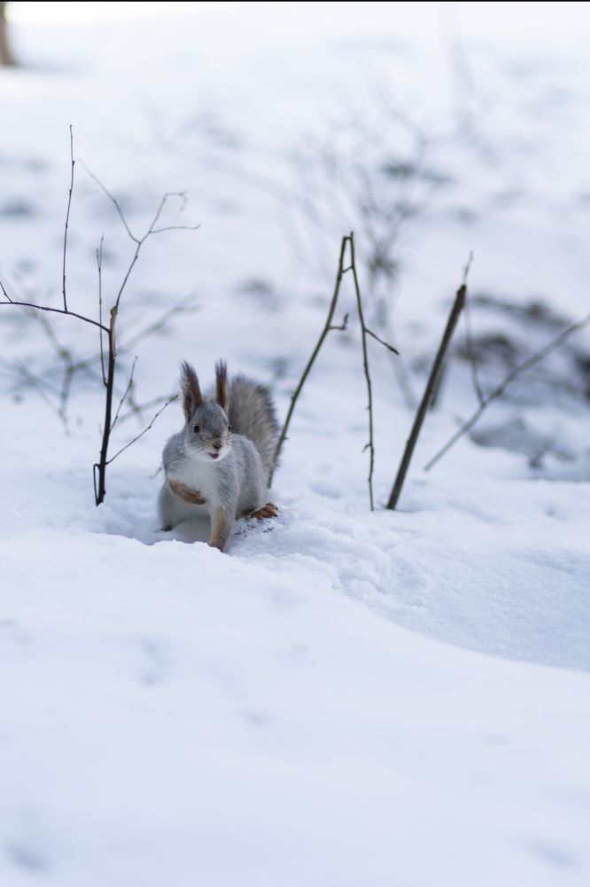 Photograph by Бальзирова Наталья